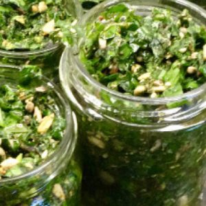 Martina Fischer Alm Rezepte Pesto