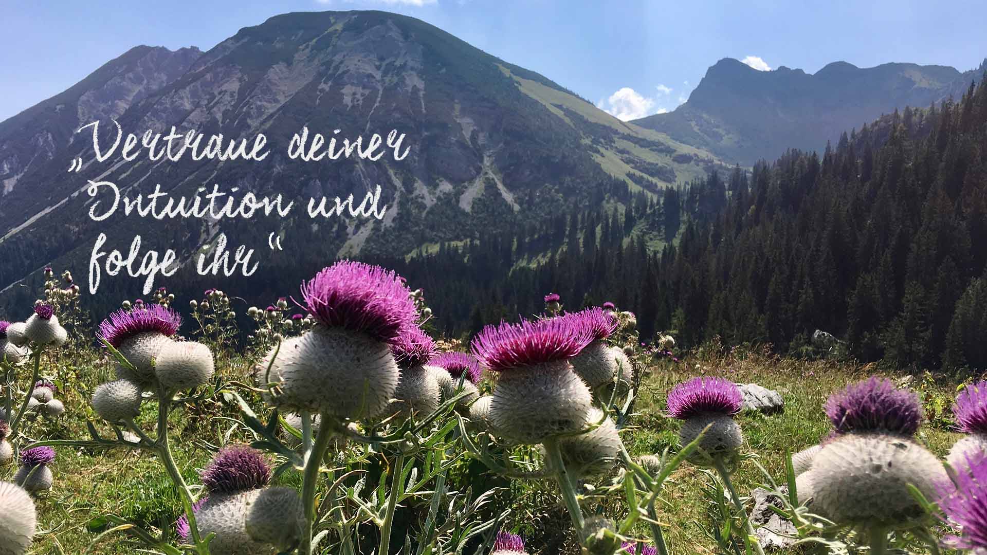 Martina Fischer Alm Titelbild Bücher Blumenwiese