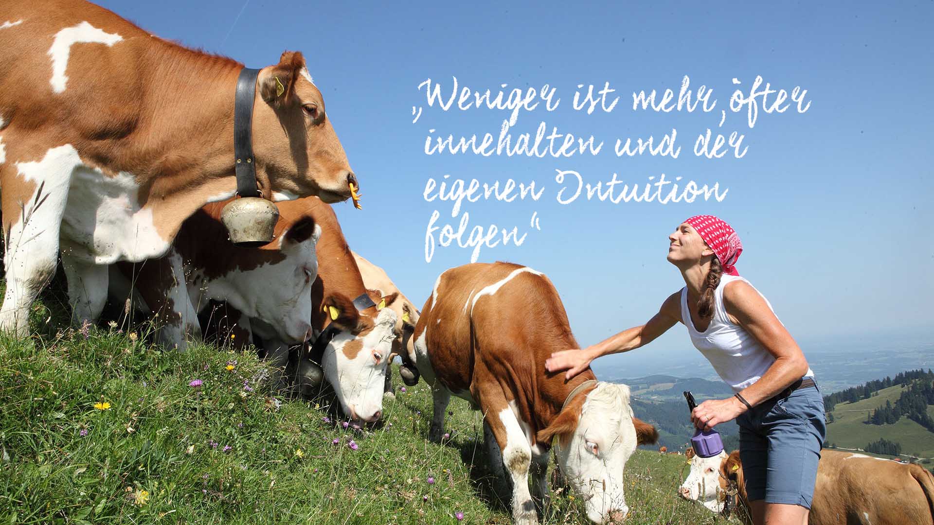 Martina_Fischer_Alm_Header_Kühe