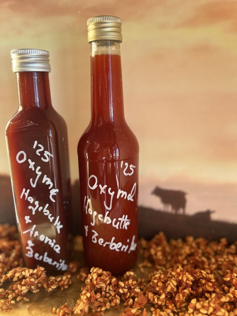 zwei Flaschen Oxymel roter Saft