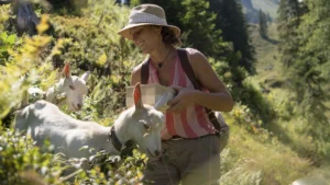 Martina Fischer füttert zwei weisse Ziegen auf der Alm