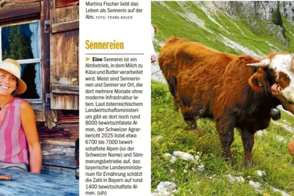 titelbild ohne strom